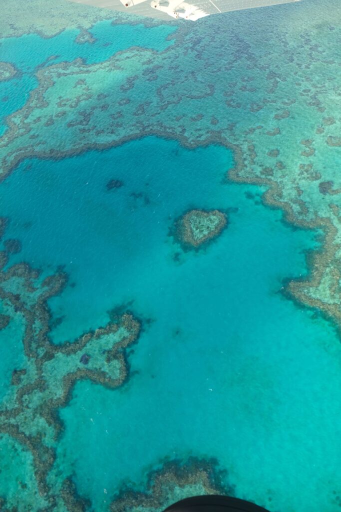 heart reef whitsunday
