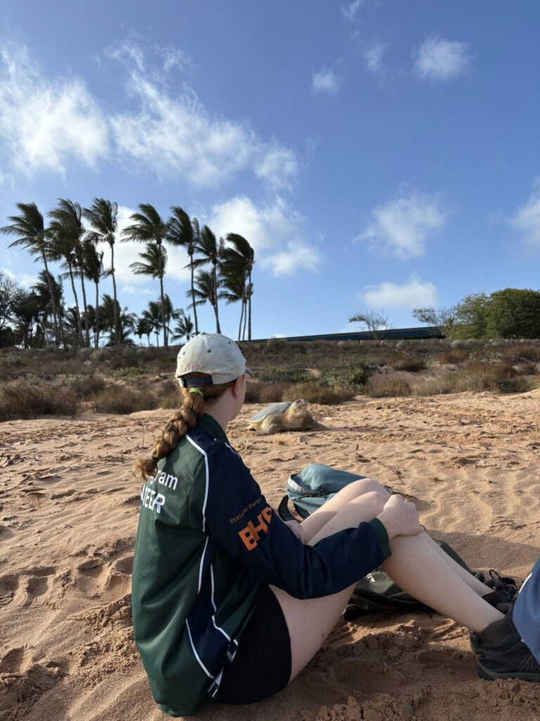 Bénévolat animaux australie