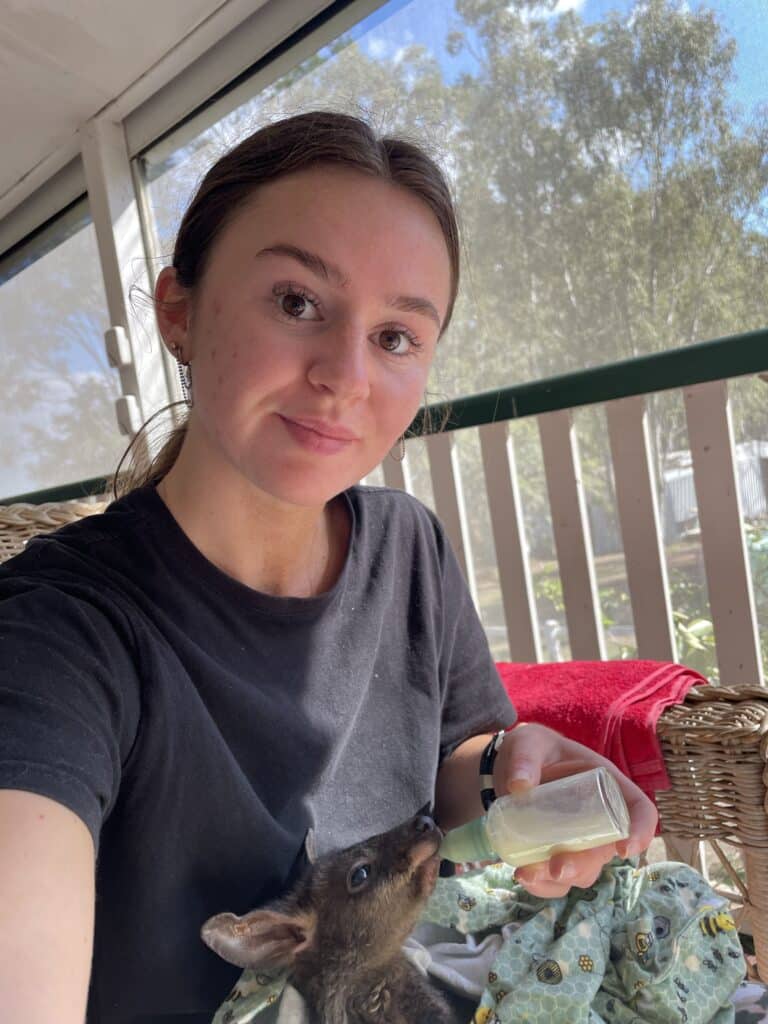 bénévolat avec les animaux en Australie