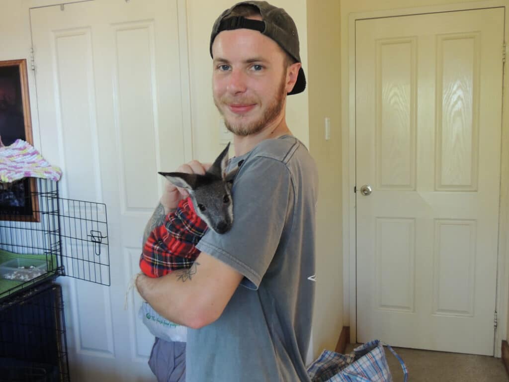 bénévolat animaux australie