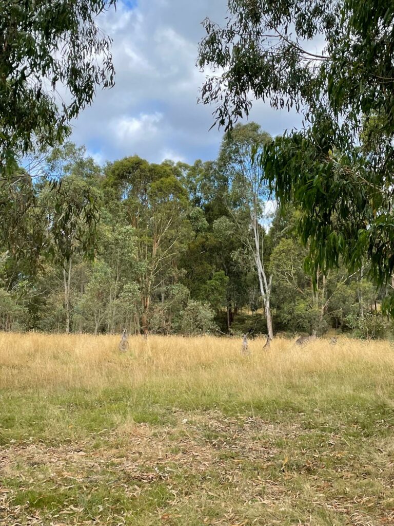 Westerfolds Park