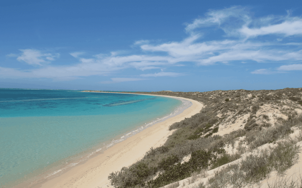 Coral Bay