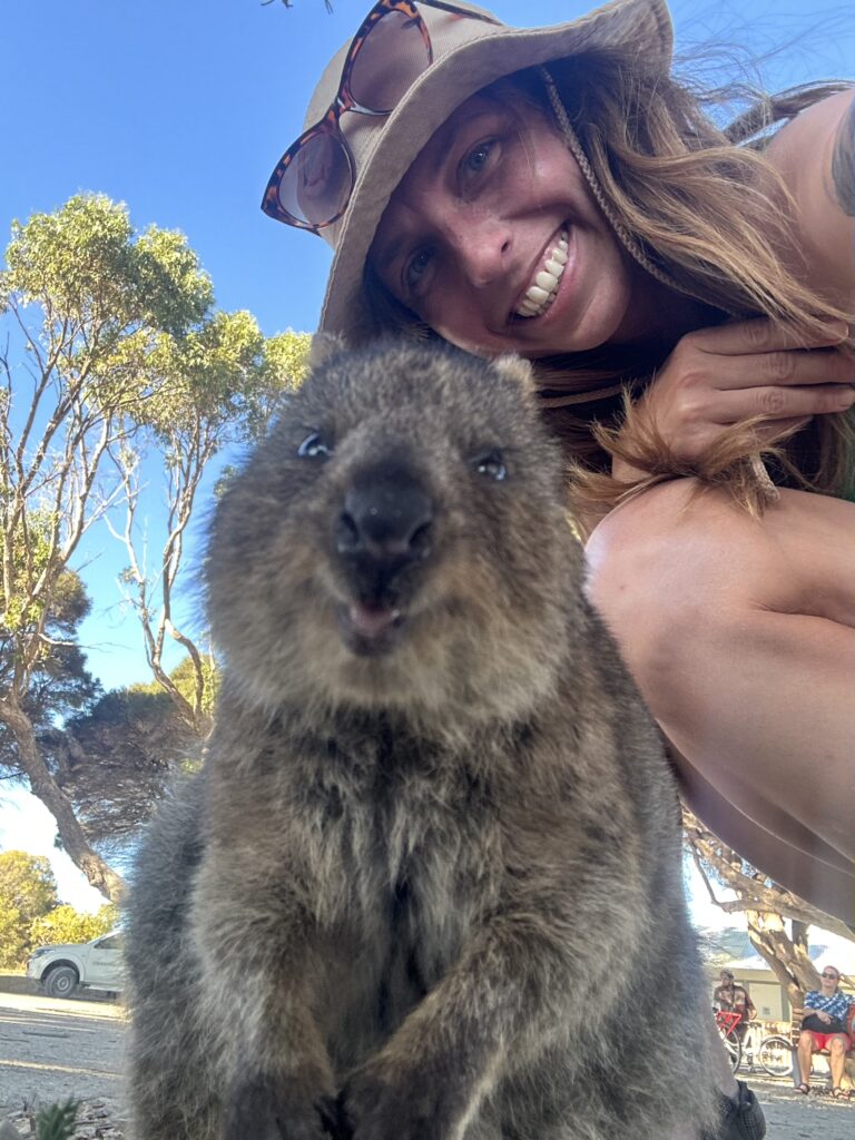 Quokka rottnest Island
