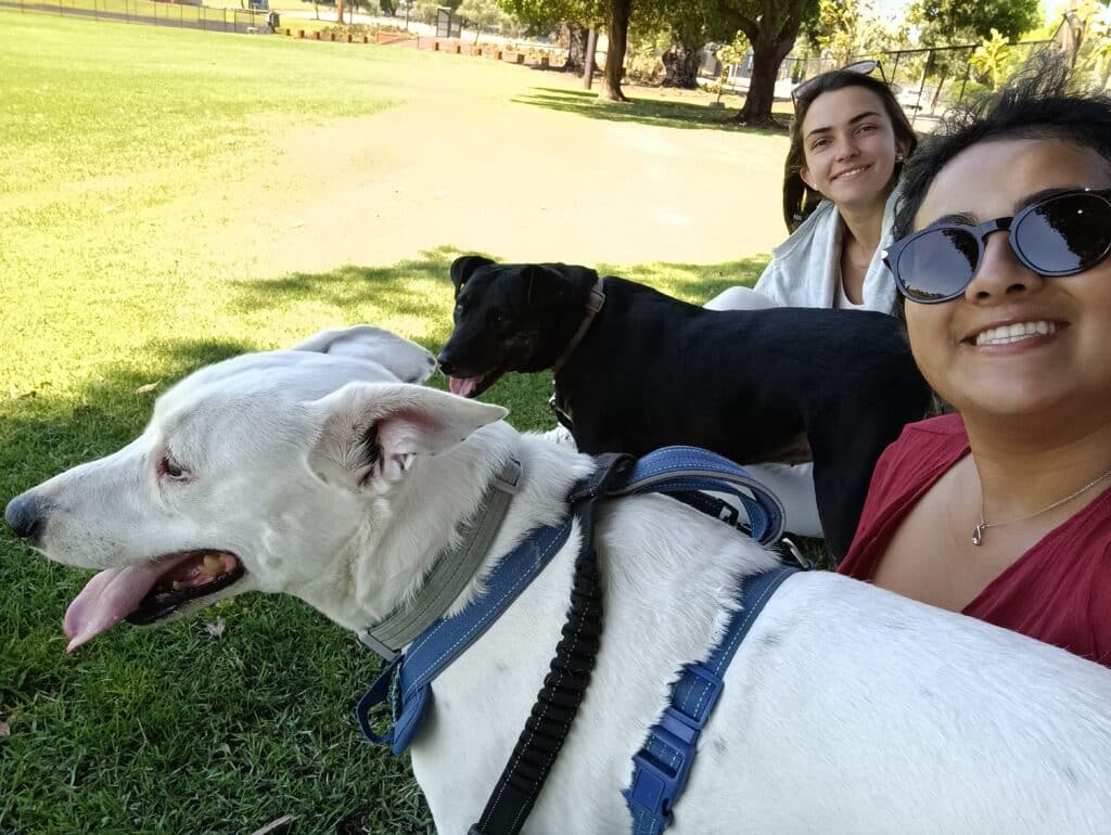 pet-sitting en Australie