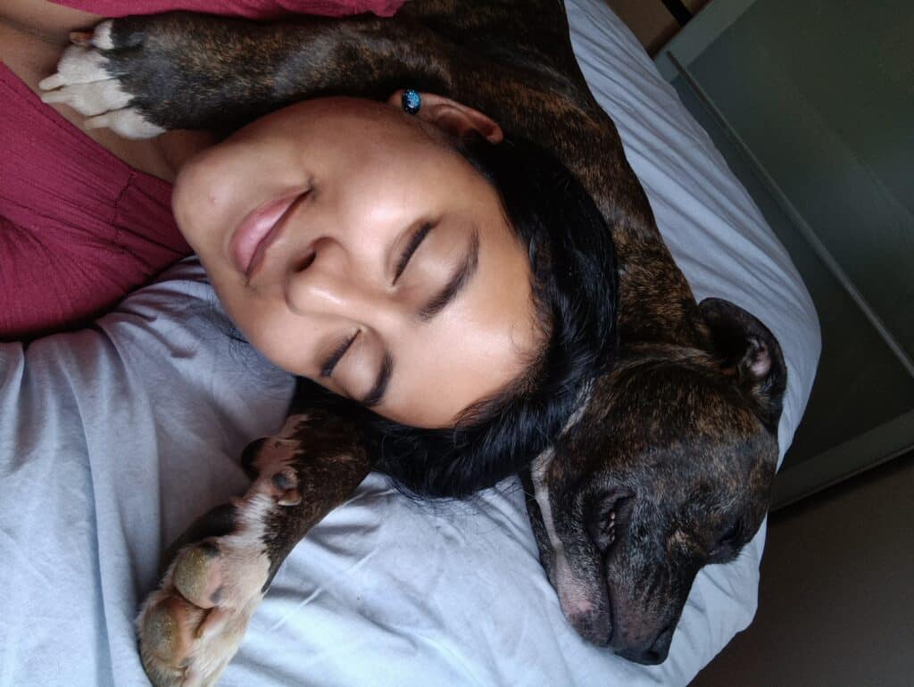 pet-sitting en Australie
