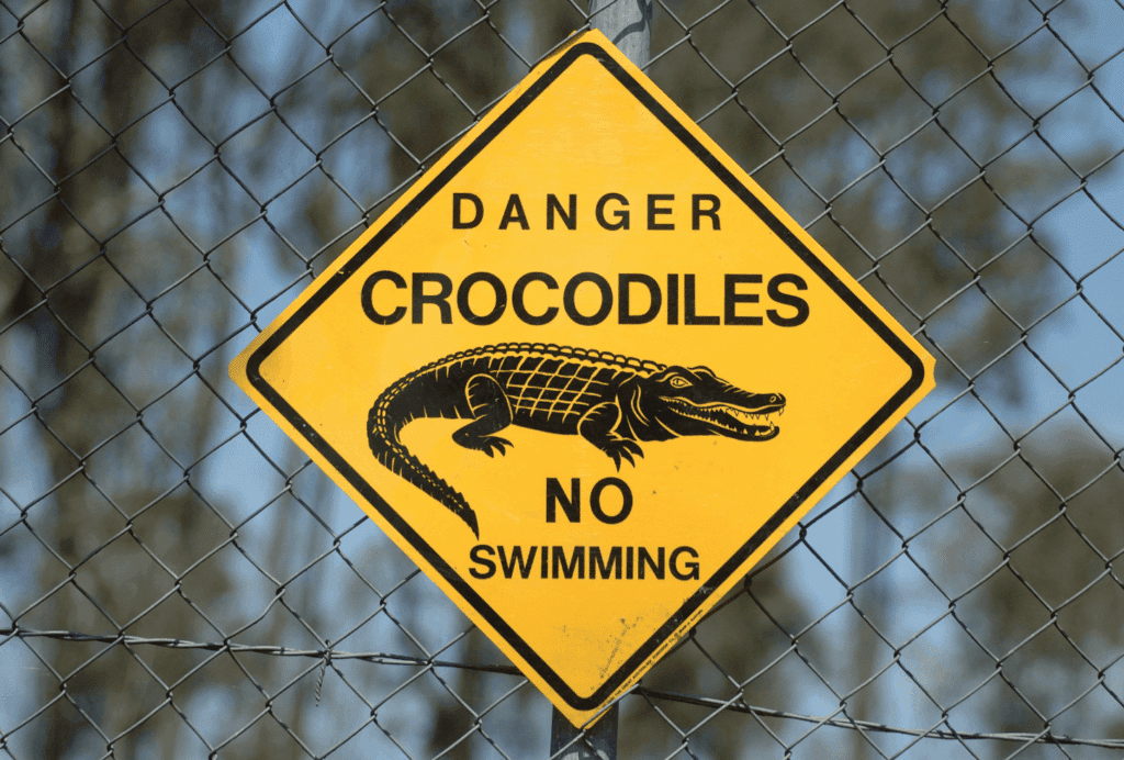 crocodiles en australie