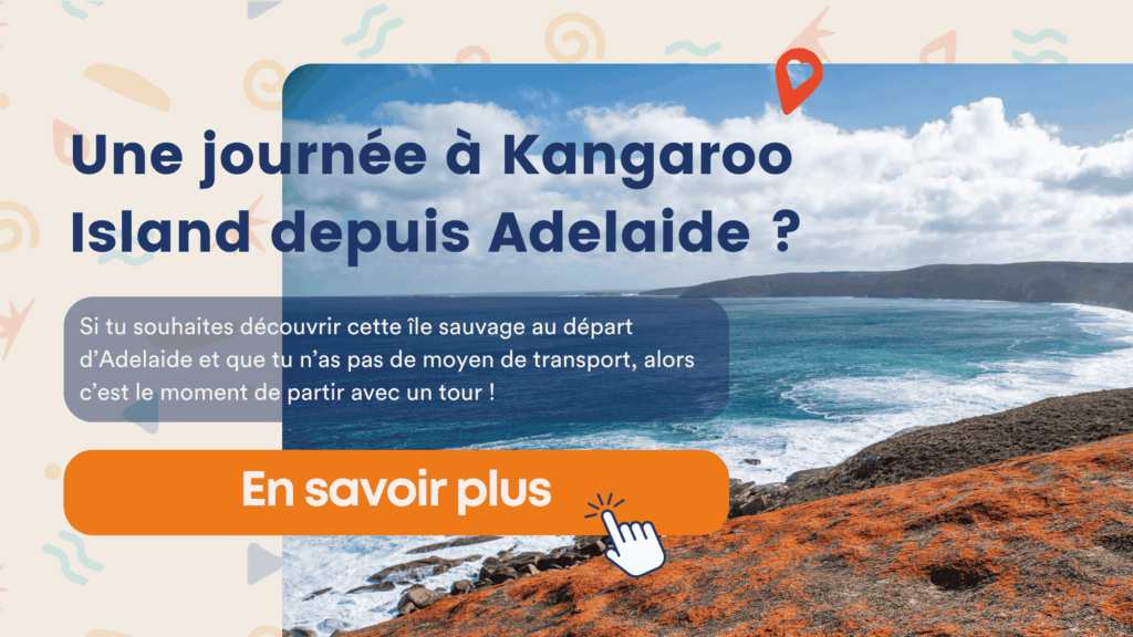 tour kangaroo island