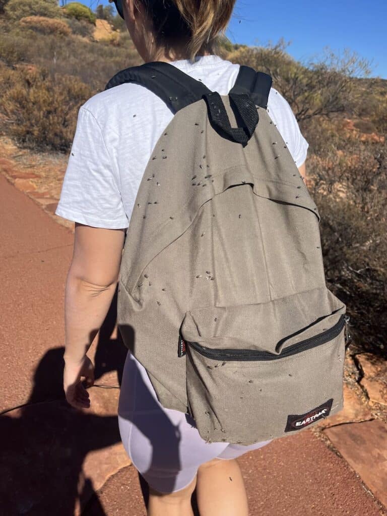 mouches kalbarri national park