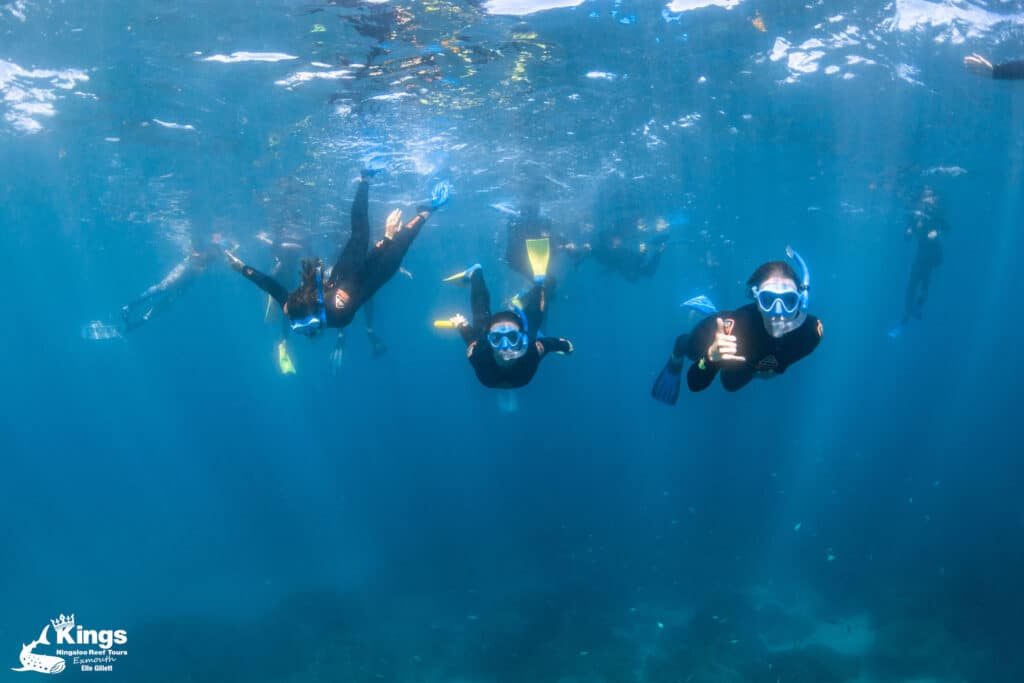 Nager avec les requins-baleines en Australie