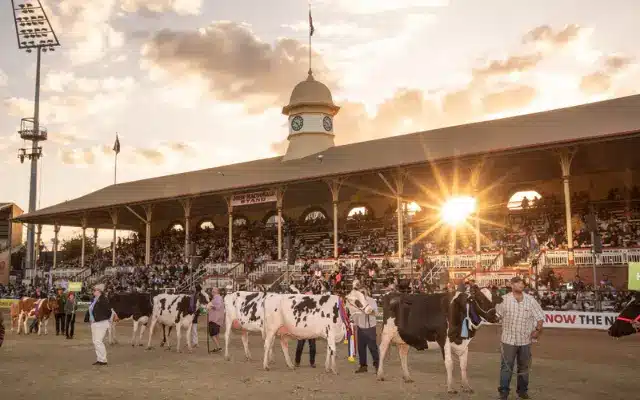 Foire agricole EKKA à Brisbane