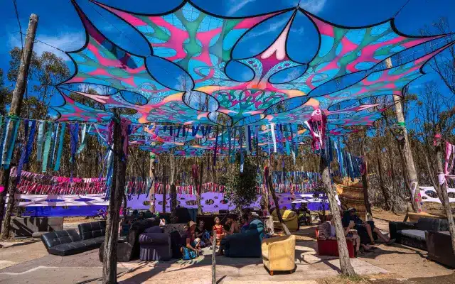 Festival techno en forêt en Australie